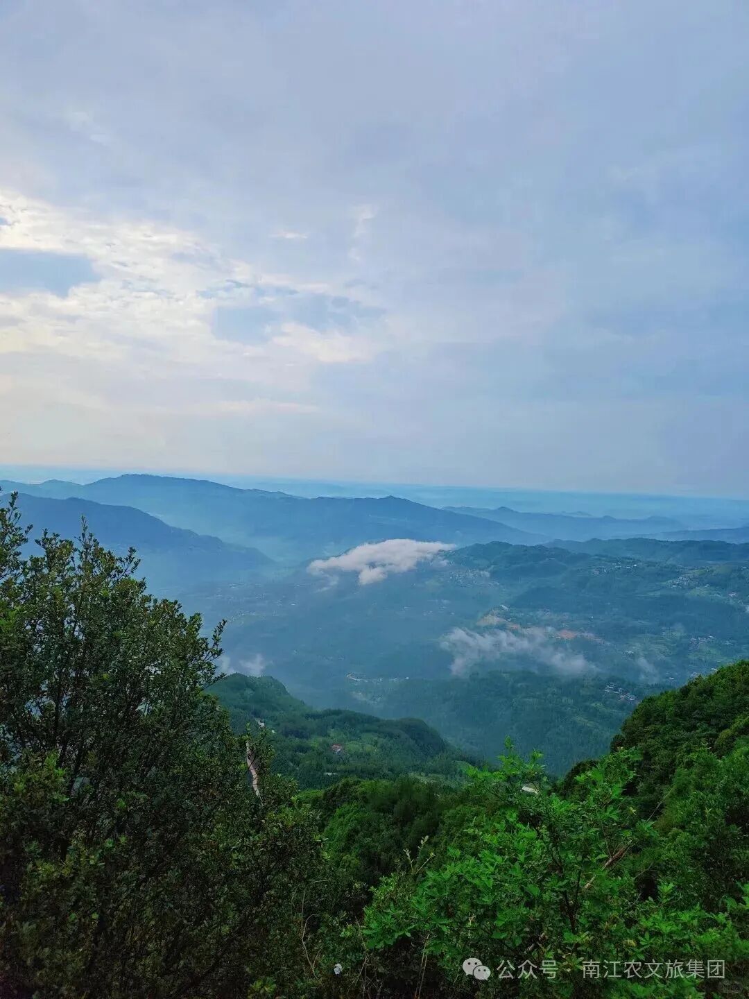 被央视点赞的南江秘境，四川十大最美茶乡——南江县云顶茶乡 - 南江农文旅集团官方网站